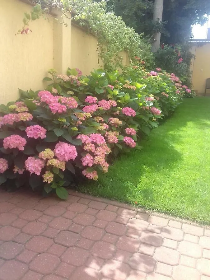 Ubytování v soukromí Villa Dzika Plaza Gdaňsk Polsko